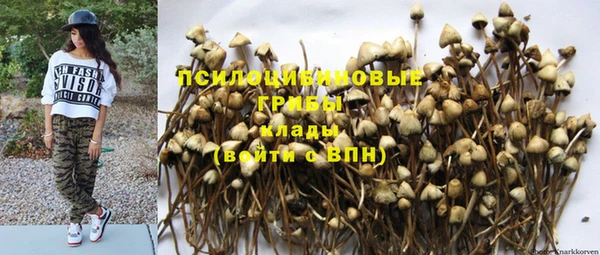 гашик Володарск
