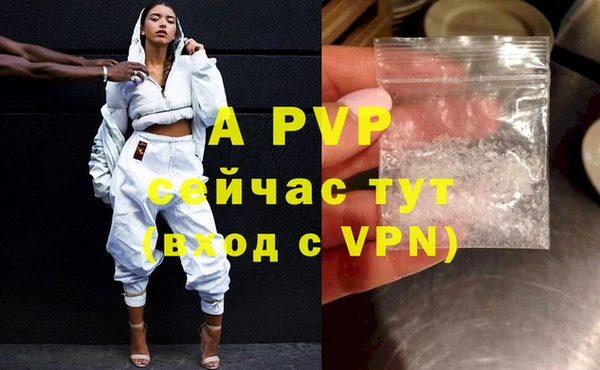гашик Володарск