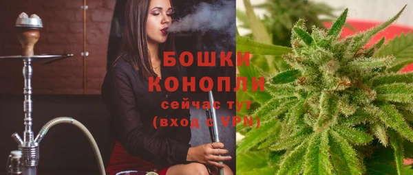 дживик Верея