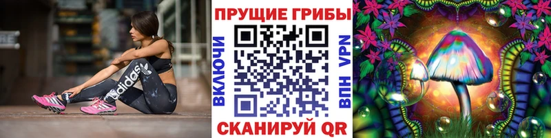 Галлюциногенные грибы мухоморы  Купить закладки  Кола 